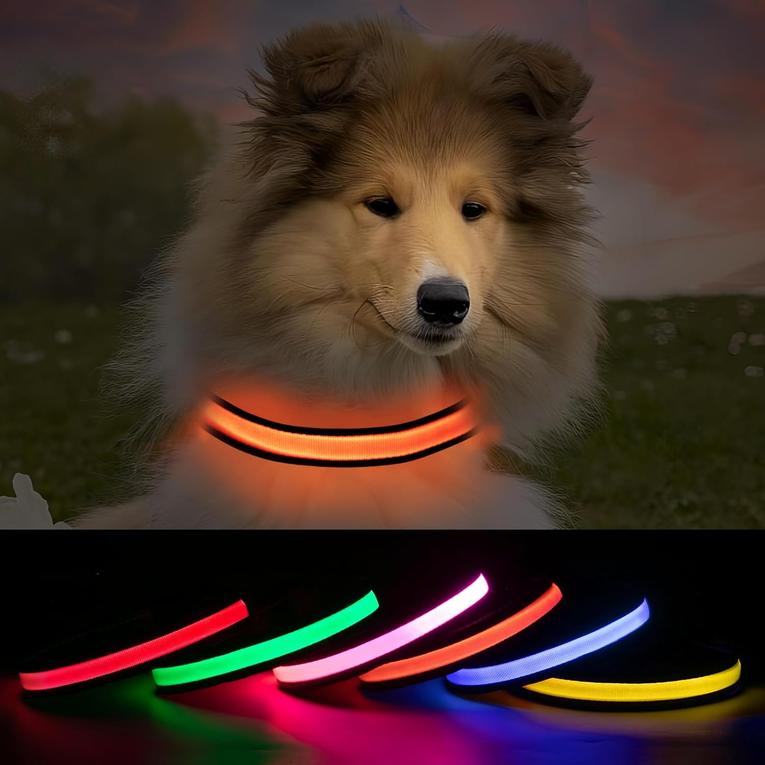 ROUWINNE Light Up Dog Collar Waterproof, Adjustable Glow