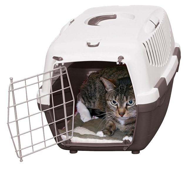 Foto 7 de 7 de Kerbl Pet Cojín para tumbona Cleo, gris/blanco, 58x36x4 cm, cama para perros, tumbona, cojín para perros