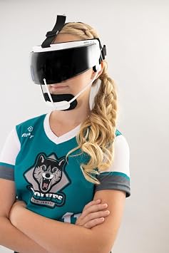 RIP-IT Softball Visor, Lightweight & Comfortable Softball Face Mask Visor, Fits All RIP-IT Defense Fielders Masks, Smoke Grey