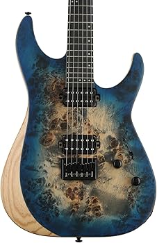 Amazon.com: Schecter Reaper-6 - Satin Sky Burst : Musical Instruments