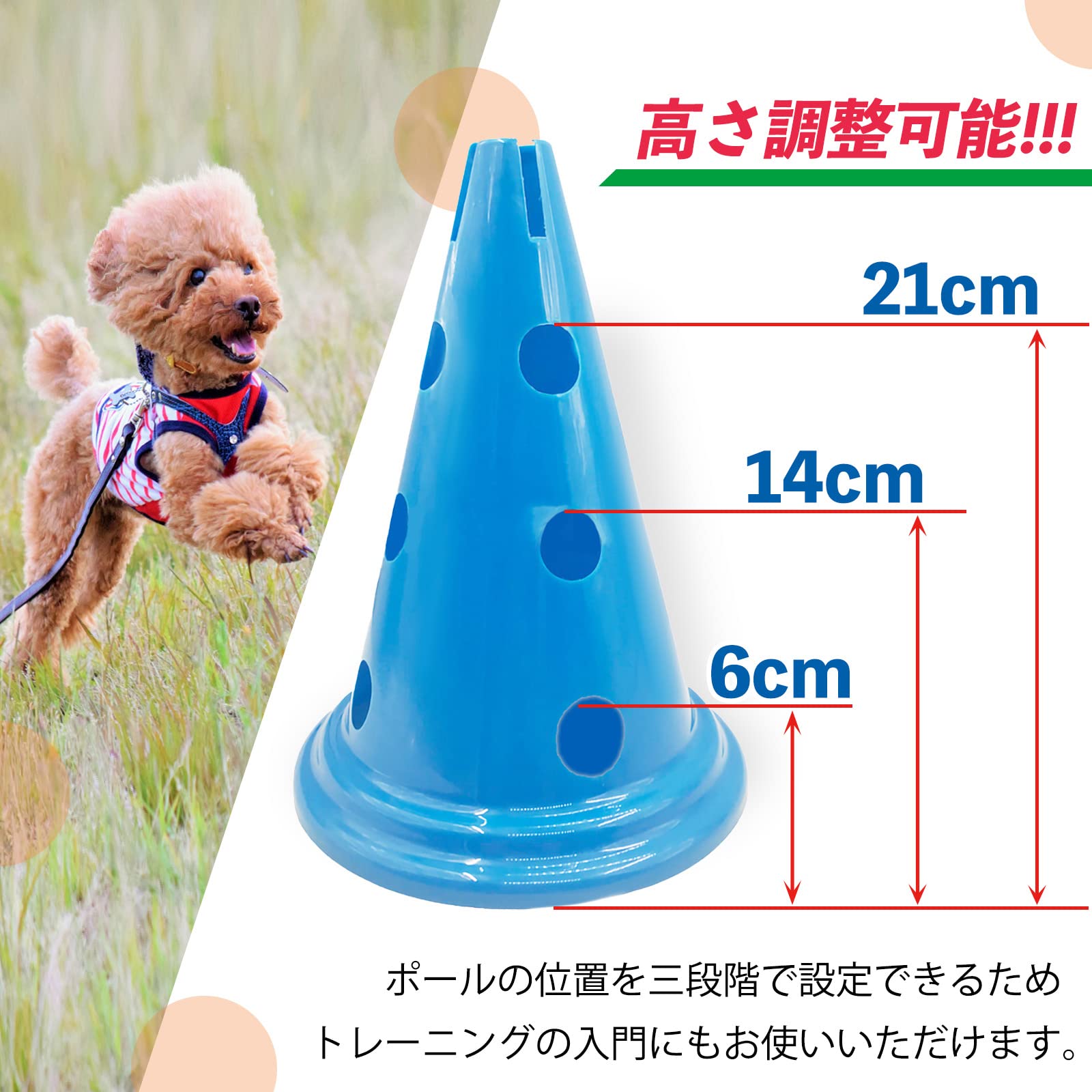 Amazon | miyon ドッグアジリティ アジリティ 犬 犬用品 多機能