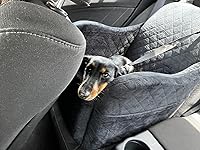 Review Image by carrington carrington