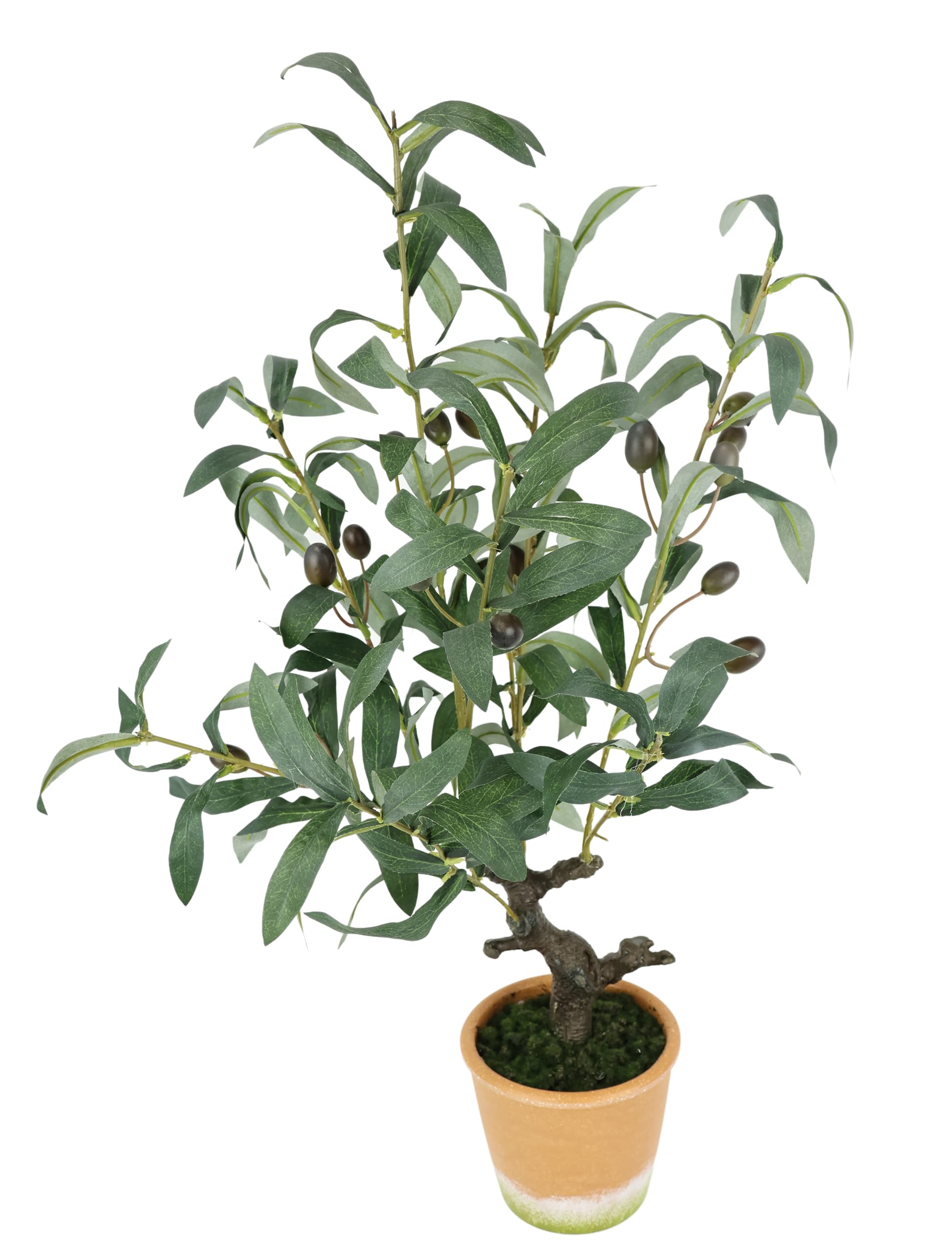 Olivier artificiel fruits noirs 57 cm arbre décoratif plante en pot