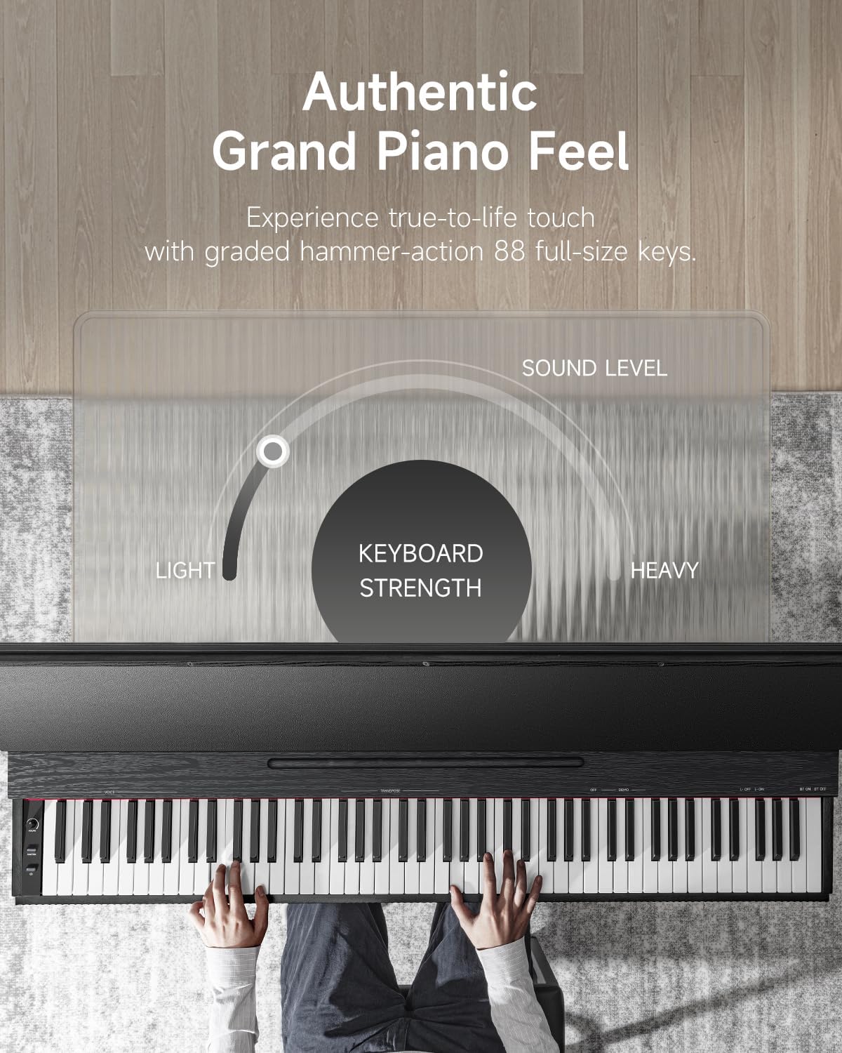 Donner OURA S300 Digital Piano клавиатурасы графикалык сезилет