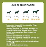 Ver la foto 6