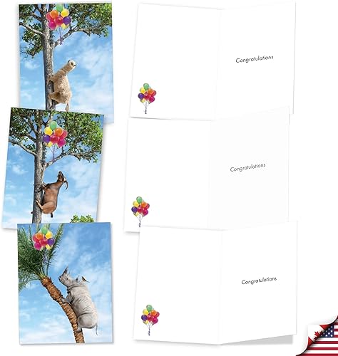 Miniatura 4 de The Best Card Company Juego de 20 tarjetas de felicitación surtidas de 4 x 5.12 pulgadas con sobres (10 diseños, 2 de cada uno) animales de árbol