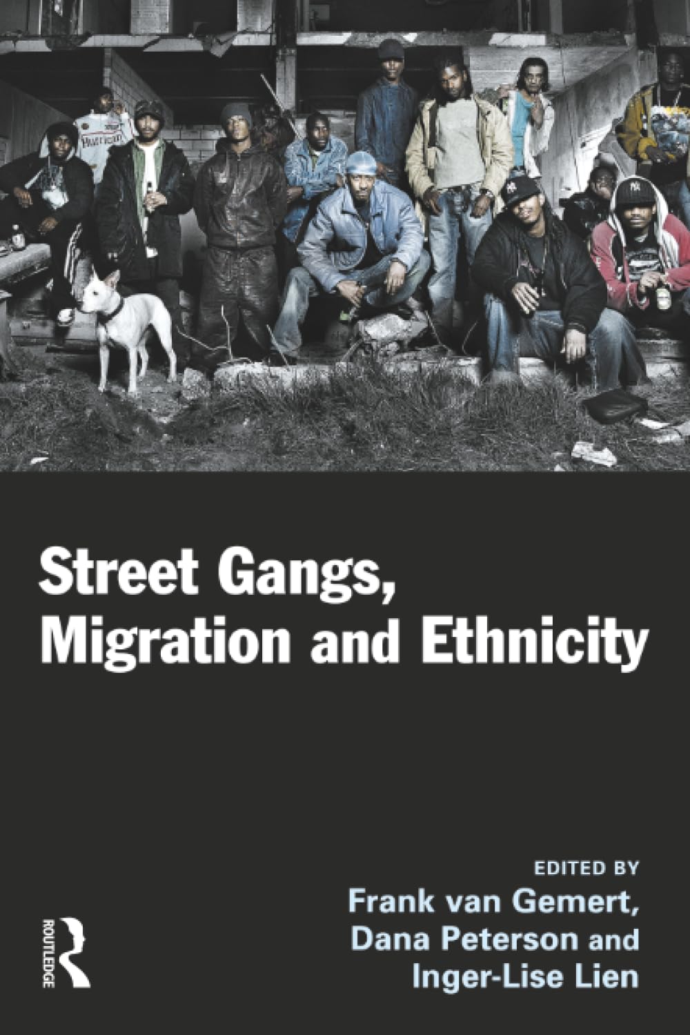 Buy Street Gangs, Migration and Ethnicity — BookShops.in