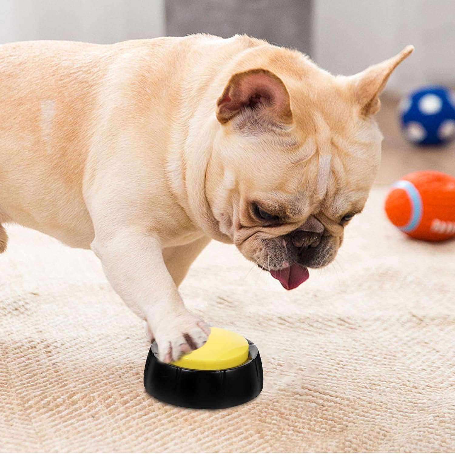 Interactive Dog Talking Buttons with Sturdy Abs Material 4pcs for Communication and Easier Pressing, Recordable Pet Voice Buttons for Training Dogs Random Color at Home or Office
