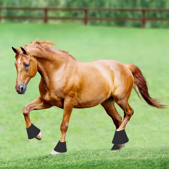 Foto 6 de 7 de Nobleza - Campanas para Caballos, Campanas de Salto de Neopreno con Protección de Pezuñas, Ideales…