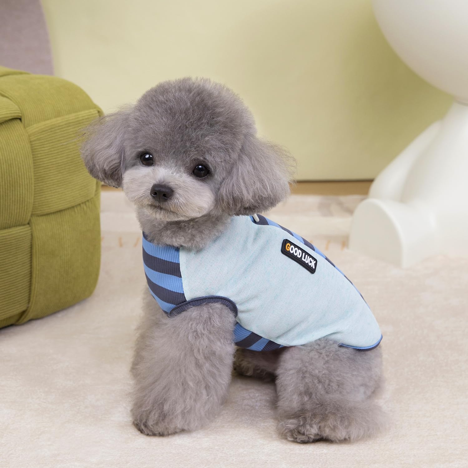 Izefia 3 Pièces Chien Chemises Vêtements Respirant Arc-en-Ciel Rayure Gaufre Cool Été Coton Débardeur Gilet T Shirt pour Petit Chien Chiot Chat