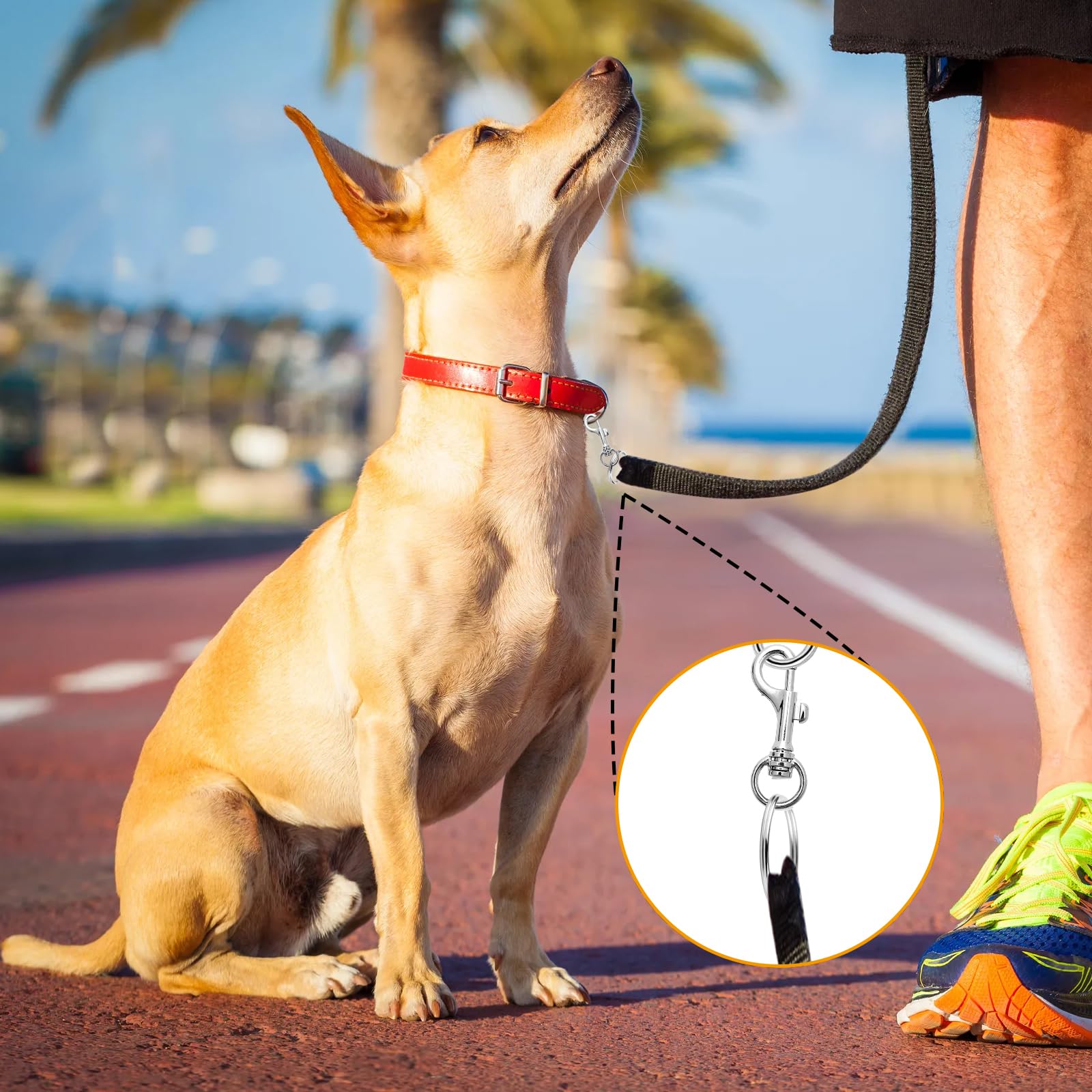 Lot de 5 mousquetons en acier inoxydable 304 pour porte-clés, collier de laisse pour chien, 29 mm | Leroy Merlin
