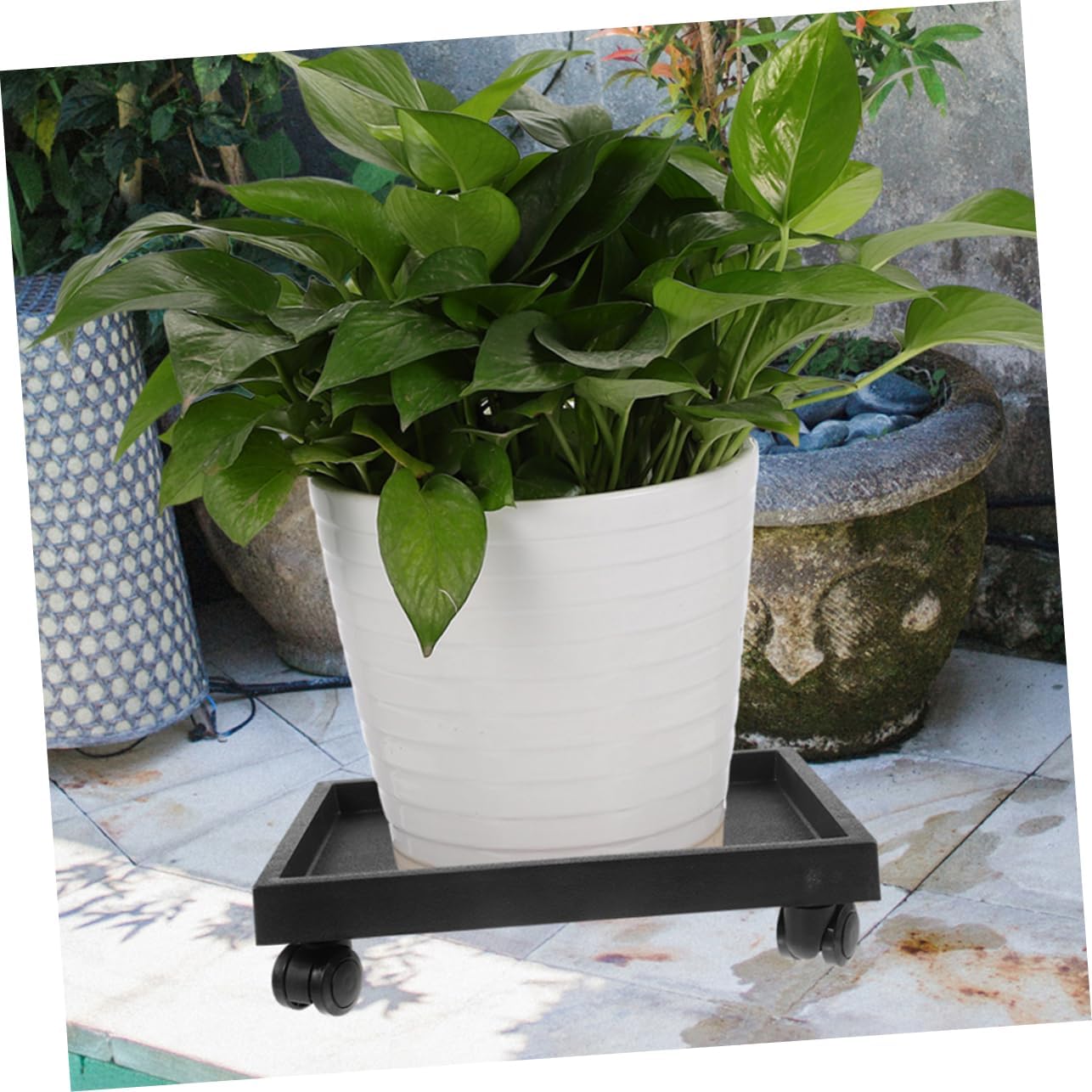 BESPORTBLE Plant Tray with Wheels Heavy Duty Rolling Plant Stand for Use for Flower Pots Floor Pe Material