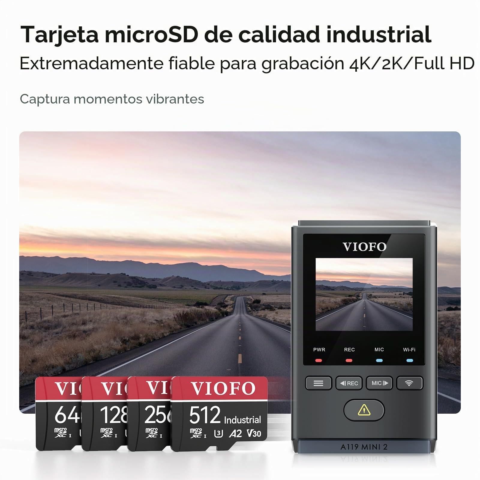 VIOFO Tarjeta de memoria de 256 GB, alta velocidad con adaptador U3, compatible con 4K WiFi Dashcam Auto Cámara