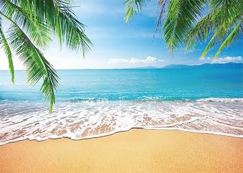 10x8ft Summer Ocean Beach Backdrop for Photography Seaside Tropical Hawaiian Luau Background Palm Leaves Wedding Baby Birthday Summer Aloha Party Tiki Decor Banner Photoshoot Studio Props