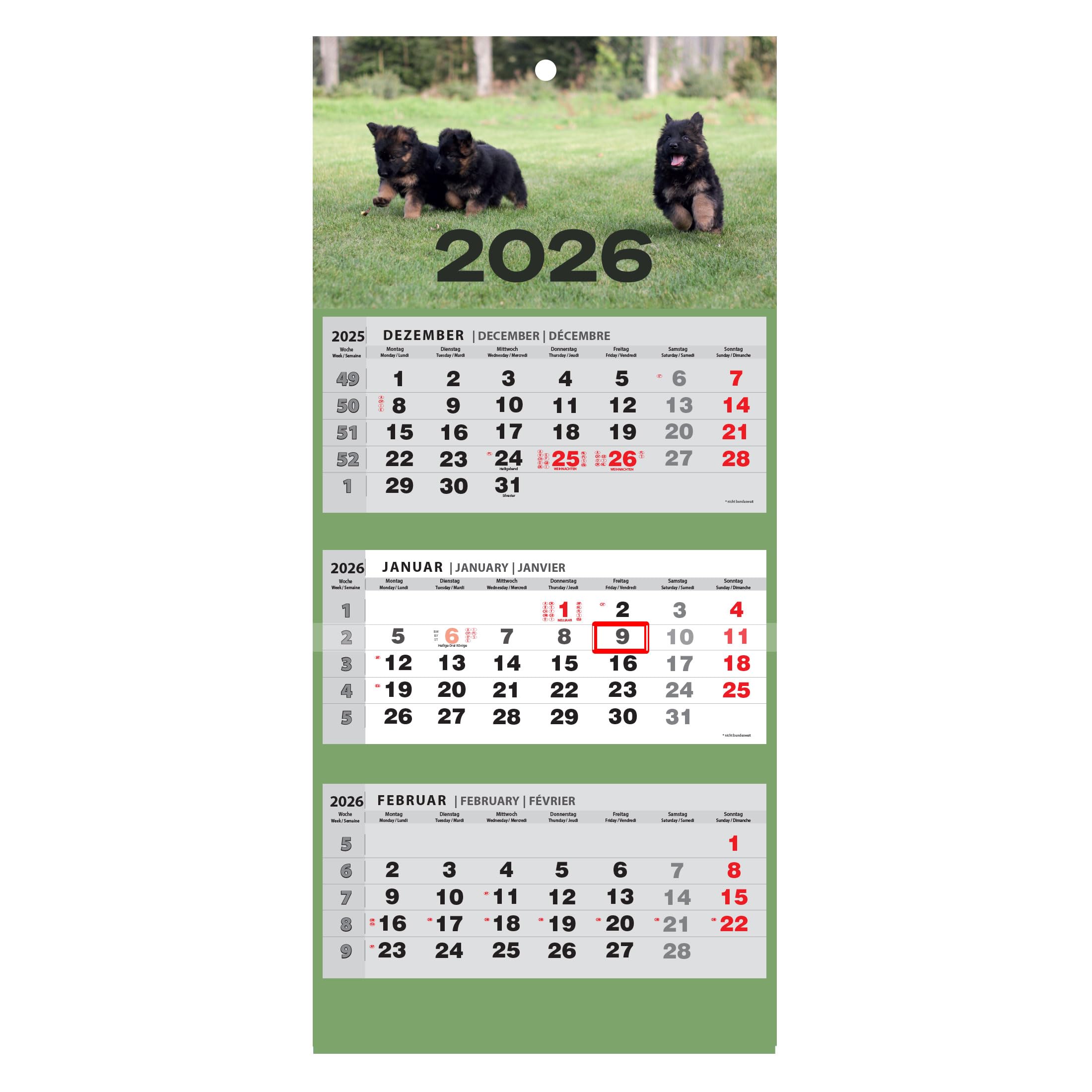 JAROGRAF Wandkalender 2026 – 3-Monats-Kalender mit praktischem Wandplaner für effiziente Jahresplanung, Feiertage, Schulferien und wichtige Termine (Bäume) Dreimonatskalender JAROGRAF Wandkalender 2026 – 3-Monats-Kalender mit praktischem Wandplaner für effiziente Jahresplanung, Feiertage, Schulferien und wichtige Termine (Bäume) Dreimonatskalender