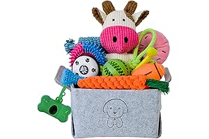 20-Piece Puppy Starter Kit: Chew Toys, Dental Care Essentials, Treats, and Cuddly Companions
