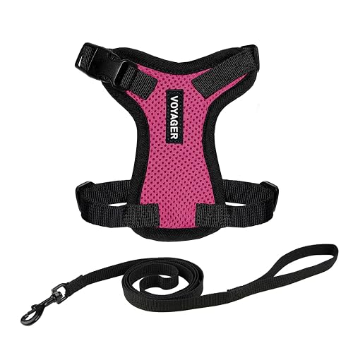 Voyager Step-in Lock - Arnés Ajustable para Gatos Conjunto de Correa para Gatos con Mango de Neopreno de 1,5…