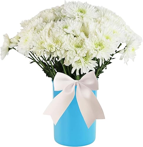 Miniatura 5 de Calypso Basics  Recipiente para utensilios de cocina