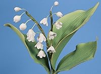 Vista 5 de Flores de primavera en azúcar (volumen II) con Scott Clark Woolley (formato DVD NTSC)