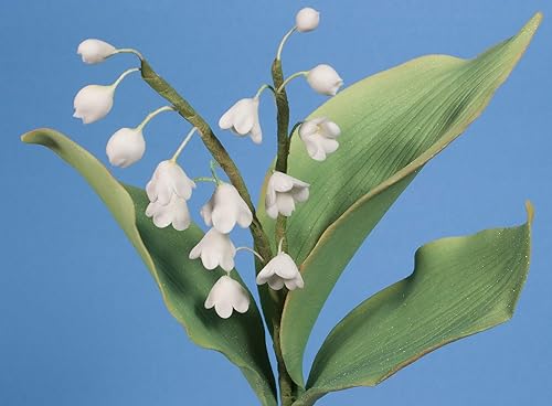 Miniatura 5 de Flores de primavera en azúcar (volumen II) con Scott Clark Woolley (formato DVD NTSC)