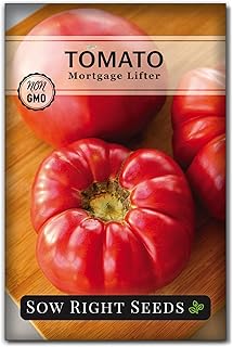 Sow Right Seeds - Mortgage Lifter Tomato Seeds for Planting - Meaty 1 to 2 lb Flavorful Fruits - Non-GMO Heirloom - Instructions to Plant a Home Vegetable Garden - Giant Beefsteak-Type