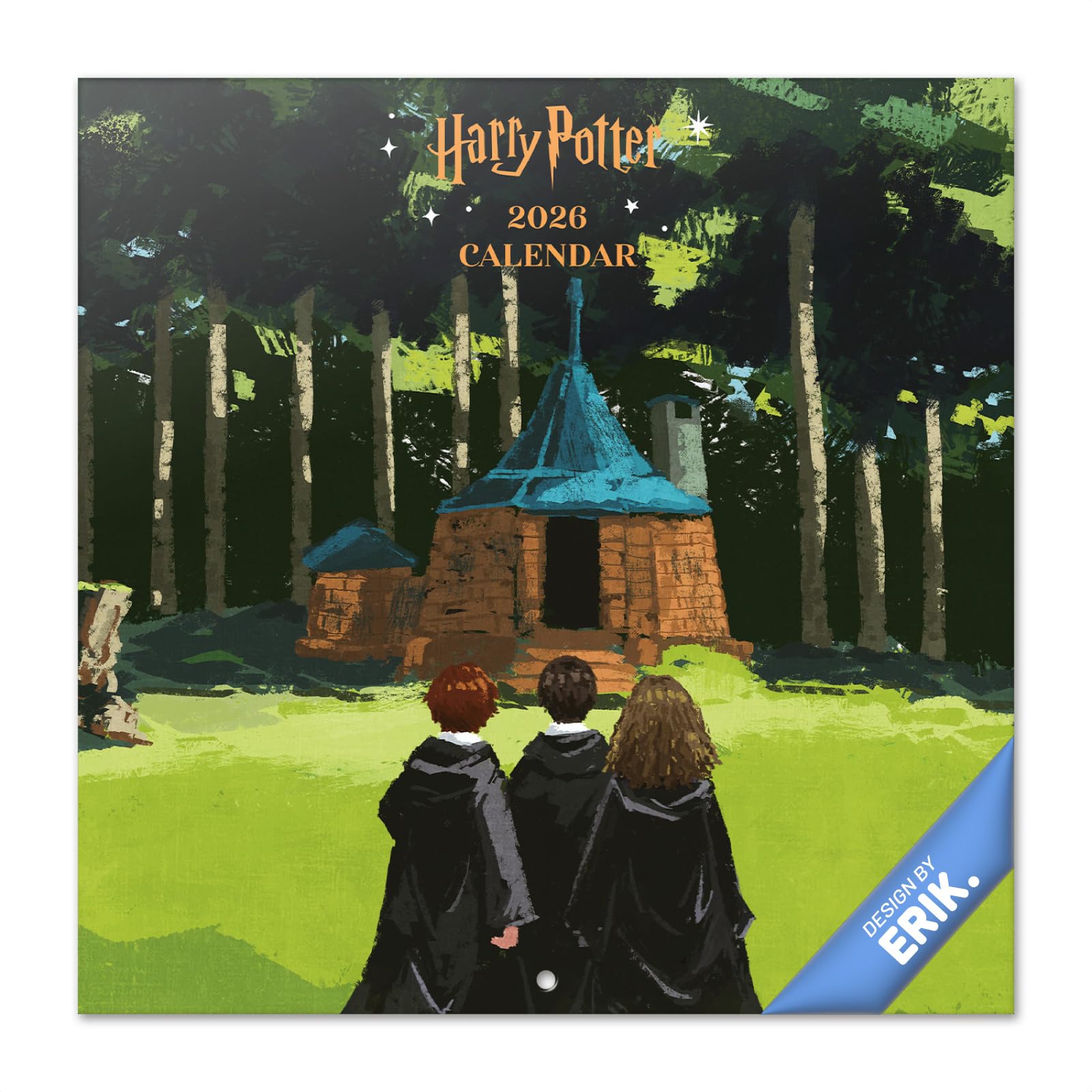 Grupo Erik Wall Calendar 2026 - Harry Potter Calendar 2026 | Square 30 x 30 cm - 12 x 12 inches Wall Planner, Family Planner Month To View | Gifts Harry Potter Merchandise, Gifts For Friends