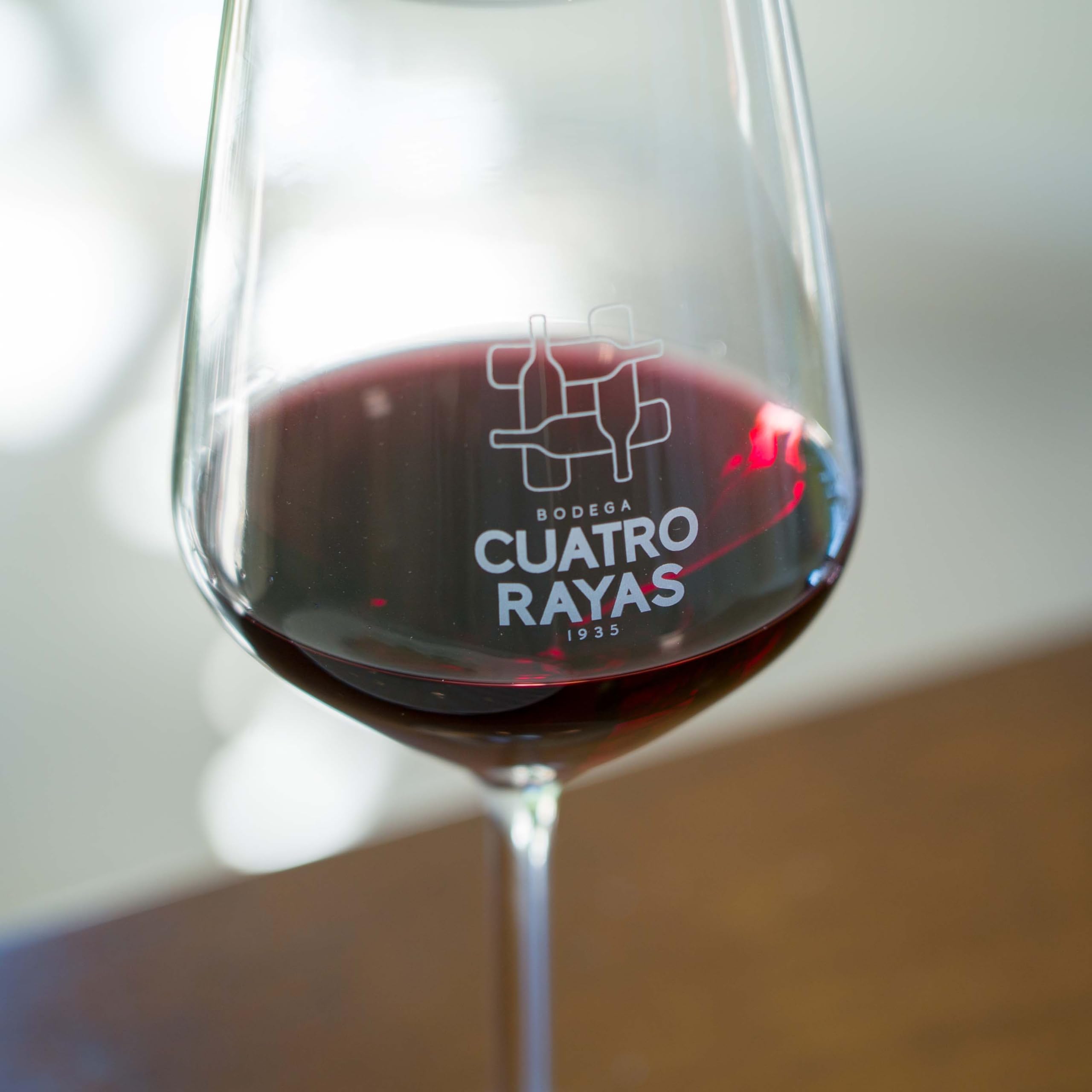 Vino Tinto Bag in Box de 15L