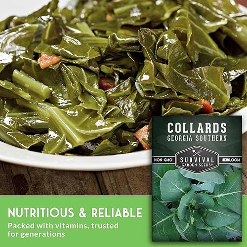 Miniatura 5 de Semillas verdes de col para plantar  Variedad de Georgia Southern Heirloom sin OMG  Verdes de hoja verde para huertos domésticos  Semillas de jardín
