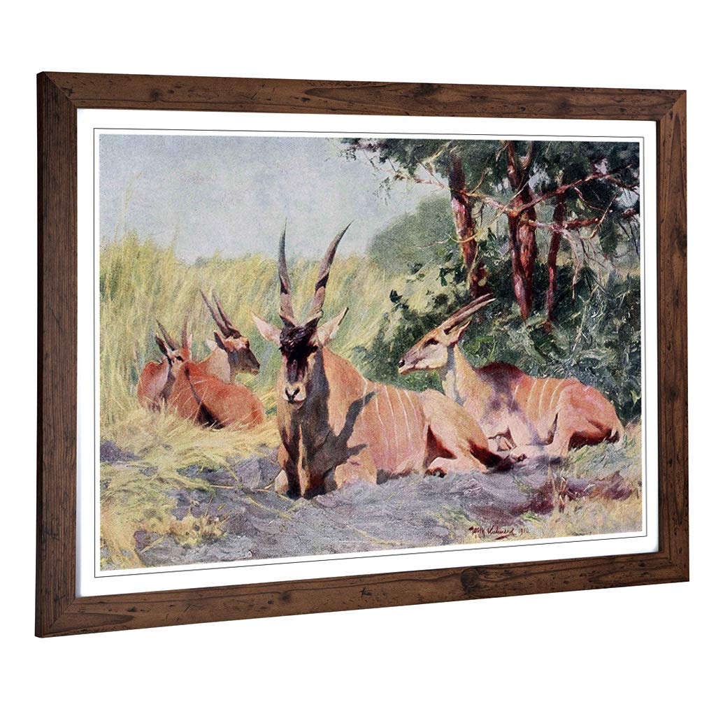 Big Box Art Framed Print of Vintage W Kuhnert Antelope Design | Wall Art Picture | Home Decor for Kitchen, Living, Dining Room, Bedroom, Hallway, Office, Walnut, A2 / 24.5x18 Inch / 62x45cm