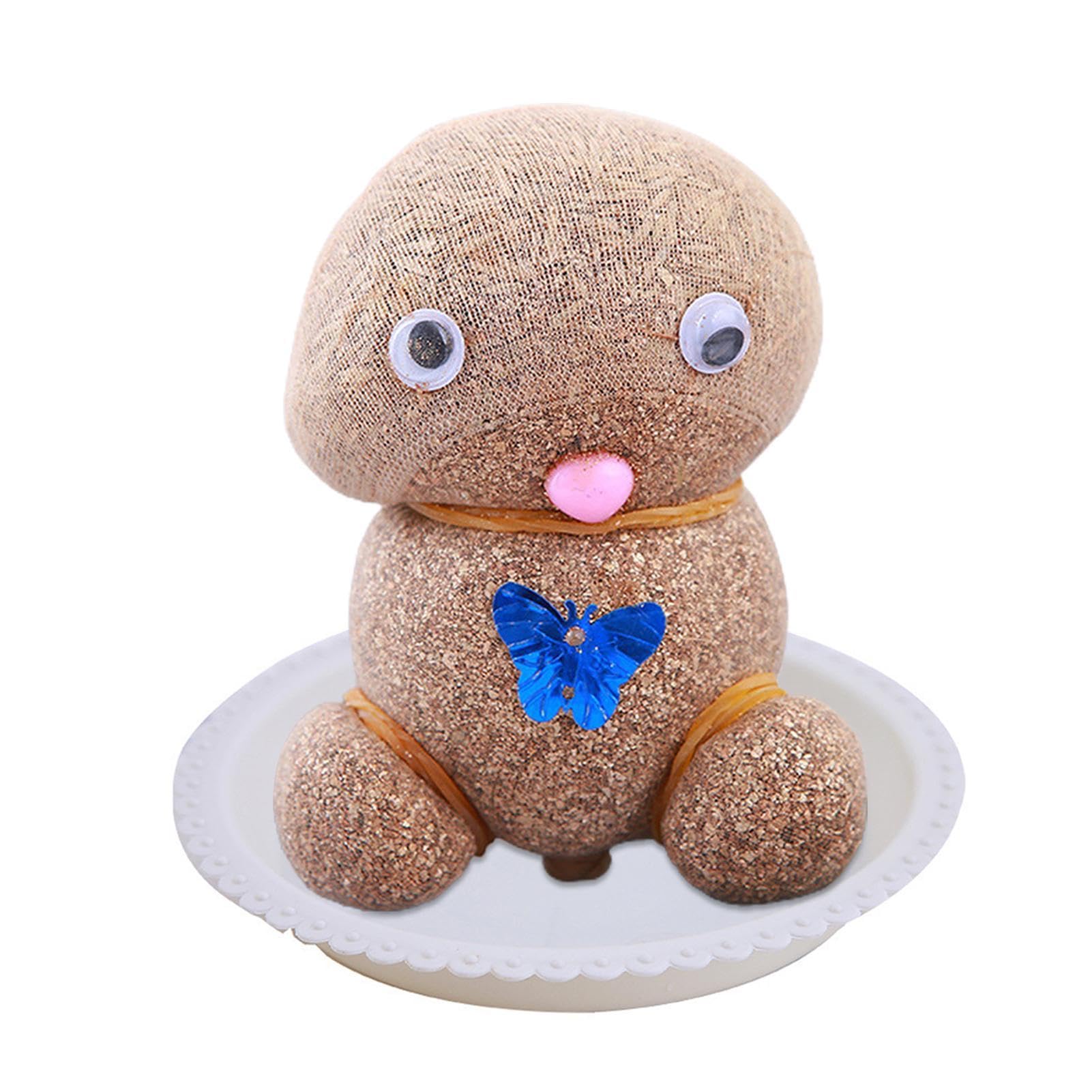 Amazon｜草の頭人形植物、成長する草の頭人形植物栽培セット子供の開花