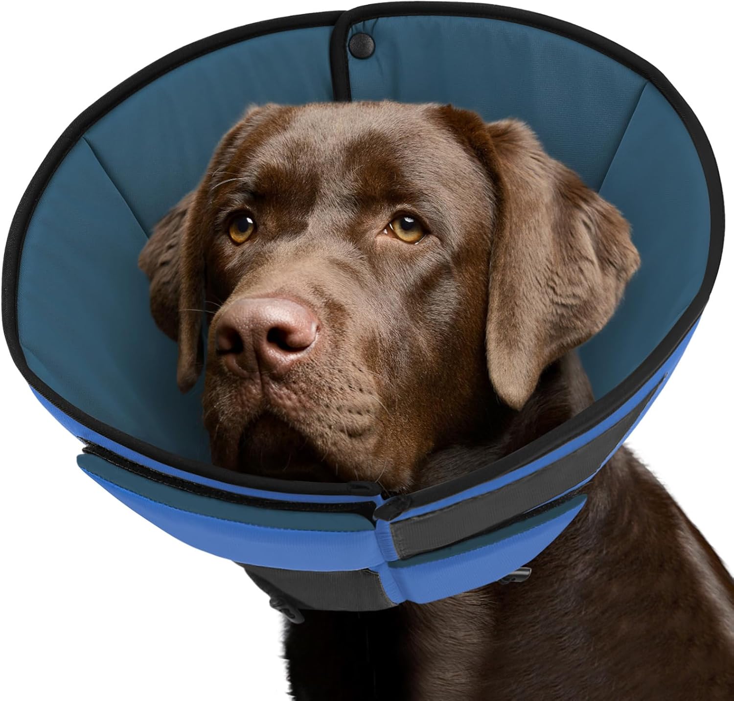 Queenmore Dog Cone XL, Soft Dog Cones for Large Dogs After Surgery, Cone for Dogs to Stop Licking, Elizabethan Collar for Pet, Alternative to Recovery Collar for Large Breeds, Blue XL XL Blue