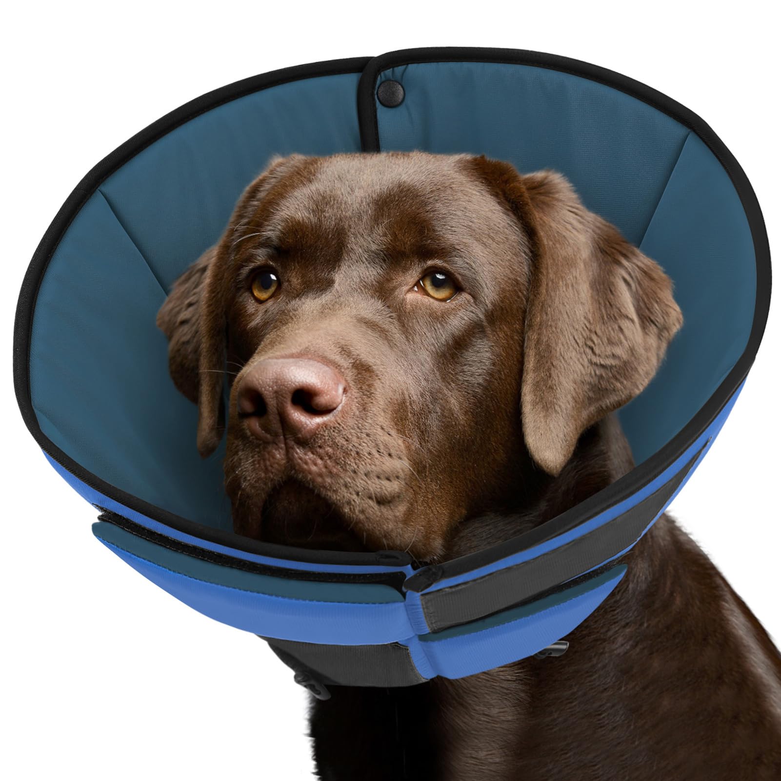 ●LOTONE & J-DOG Amazon.com : Queenmore Dog Cone XL, Soft Dog Cones for Large