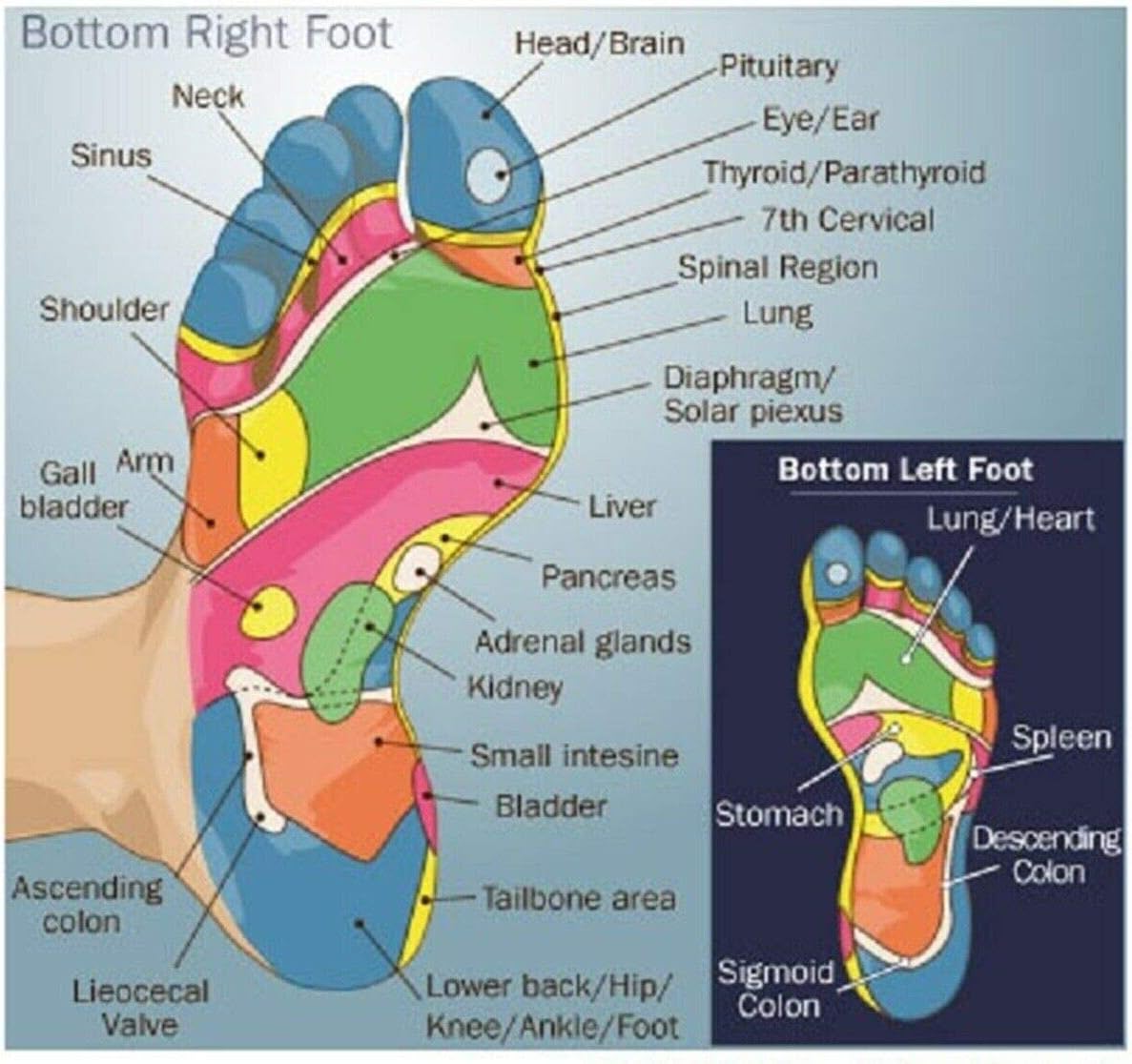 FARENZO 2pc Traditional Thai Massage Stick Wood Tools Reflexology Feet Spa Point Therapy Pressure Point Manual 6.5inch : Health & Household