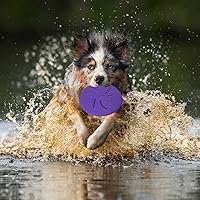 Vista 5 de Discos indestructibles para perros, juguetes interactivos para atrapar y atrapar para perros pequeños, flotan en el agua y seguros en los dientes