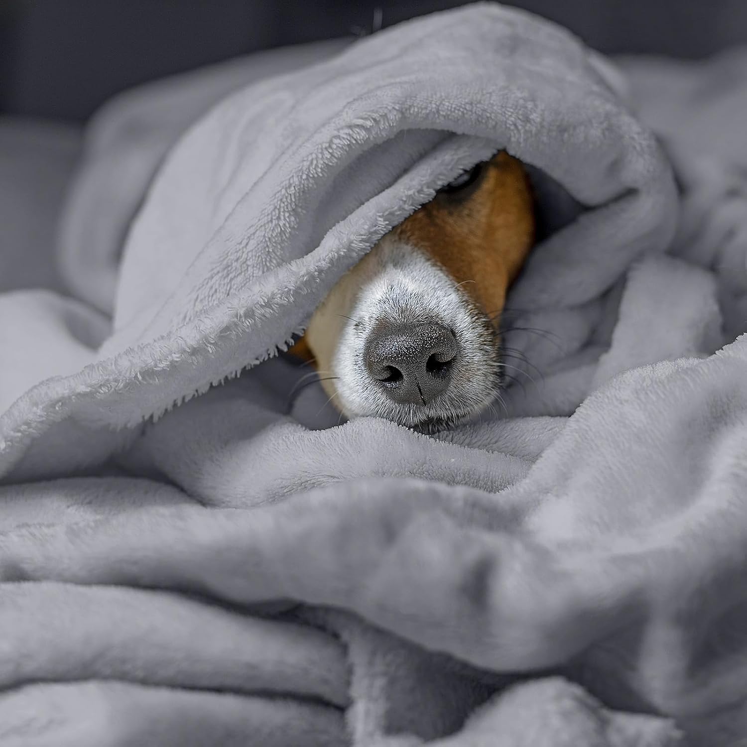 VitalCozy 6 Pcs Fleece Throw Blankets Bulk 60" x 80" Extra Large Lightweight Fuzzy Flannel Plush Blankets for Couch Home Living Room Sofa Bed (Classic Color) - Image 7