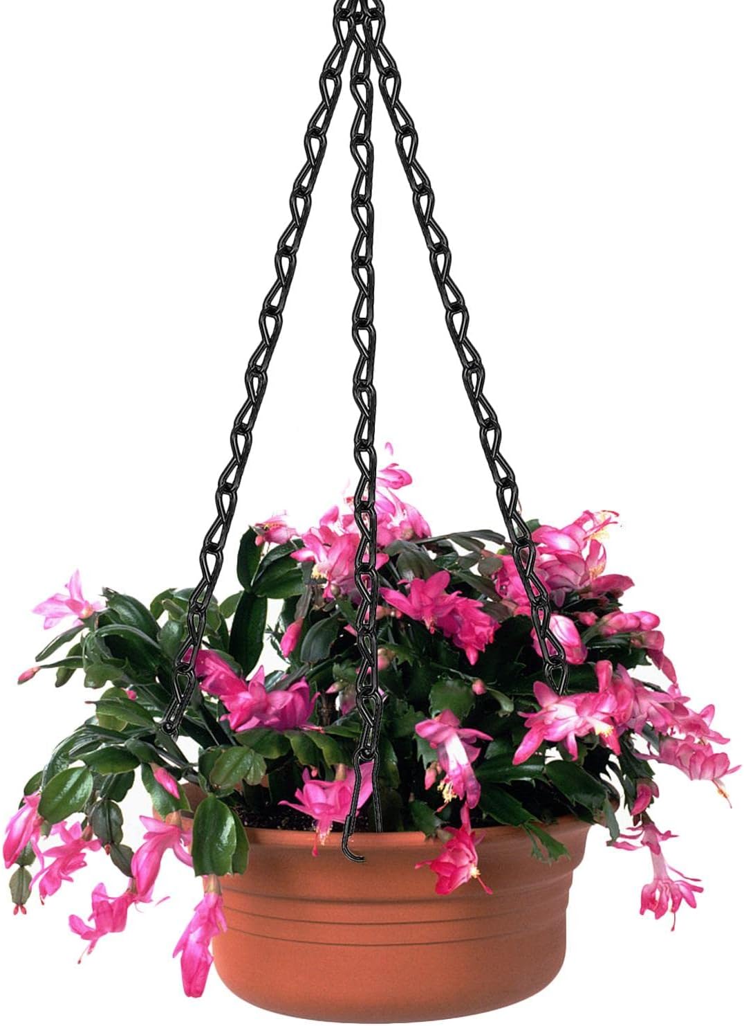 Hanging Chain for Bird Feeders Bird Feeder Chain Plant