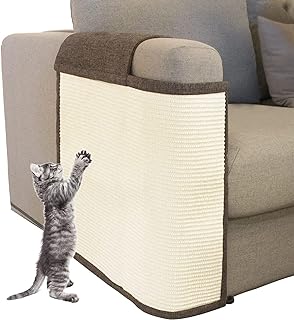 bubble chair for cats amazon