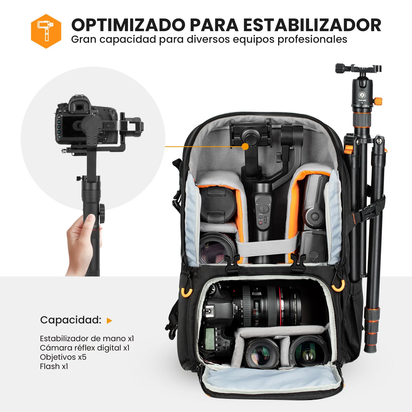 TARION Mochila profesional grande para cámara con compartimento para laptop de 15.6 pulgadas, impermeable, para fotografía, senderismo, viajes, DLSR PBL