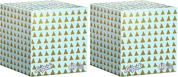 Selpak Kutu Mendil Butik 48'li 2li paket