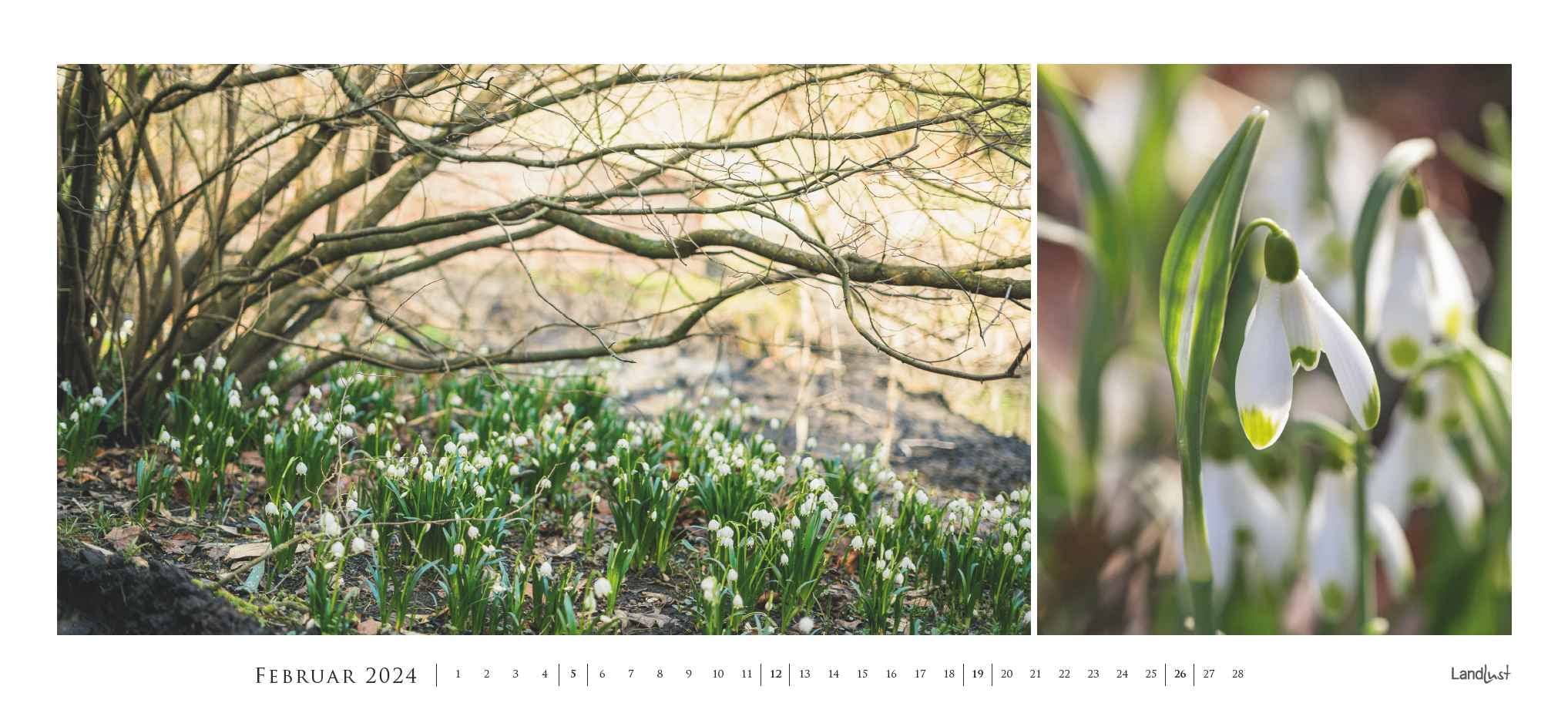 Landlust Panorama: Garten-Kontraste 2024 Wand-Kalender - Panorama-Kalender - Fotografie - Gartenkalender 110x50