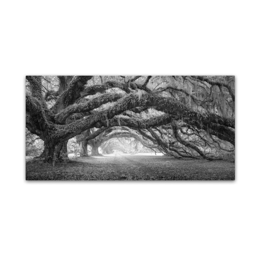 Pasage 1 OL BW by Moises Levy, 10x19-Inch Canvas Wall Art