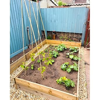 22x150mm Treated Timber Batten, 3m Sawn Softwood Spruce Length for Outdoor Garden Projects, Kiln Dried Pressure Treated Wood, Rough Sawn FSC-Certified Landscaping Timber
