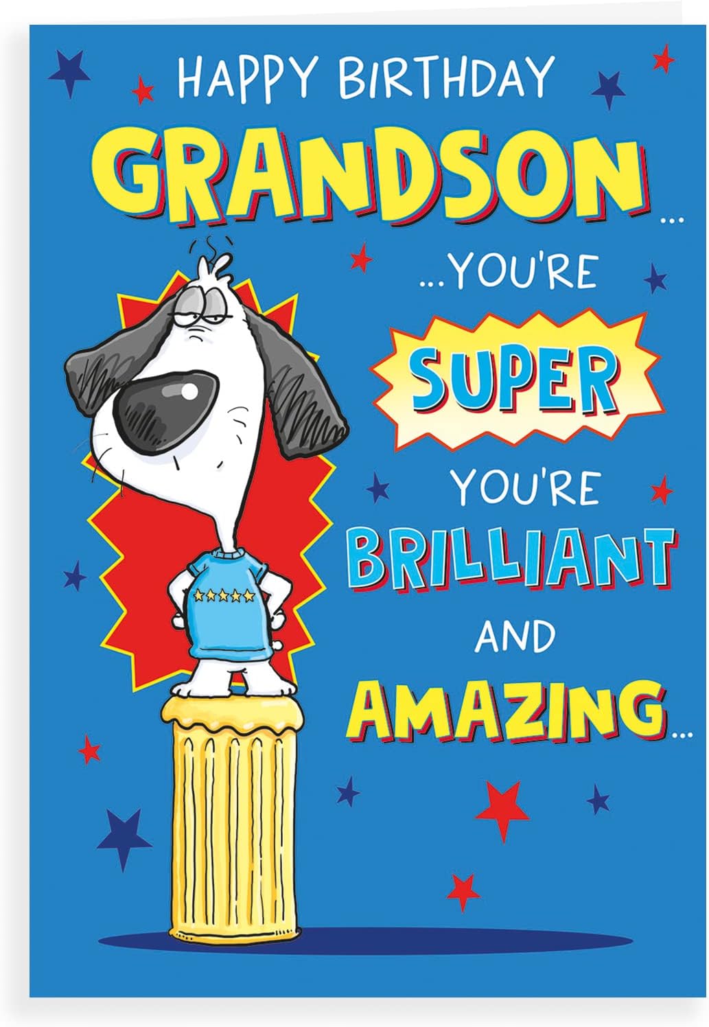 Regal Publishing Humour Birthday Card Grandson - 9 x 6 inches
