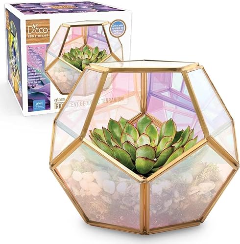 D'Eco Terrario geométrico de vidrio iridiscente para plantas (7 x 7 x 6)  Terrario de mesa de esfera dorada para suculentas y plantas  Hogar de