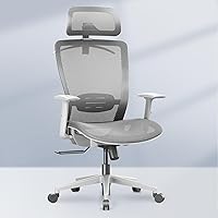 Vista 14 de FLEXISPOT Silla de oficina ergonómica clásica con respaldo alto, silla giratoria para computadora, sillas de escritorio ejecutivas, con soporte Gris
