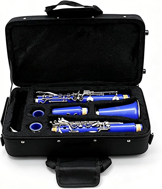 Clarinet Case, Portable Hard Shell Gig Bag | Oxford Fabric, for Bb Clarinet Storage and Travel, with Adjustable Shoulder Strap and Two-Way Zipper