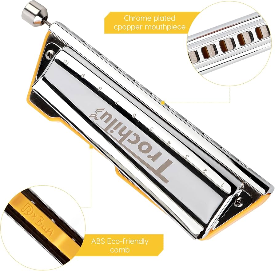 Amazon.com: JDR Trochilus 10 Holes Chromatic Harmonica Solo Tuning
