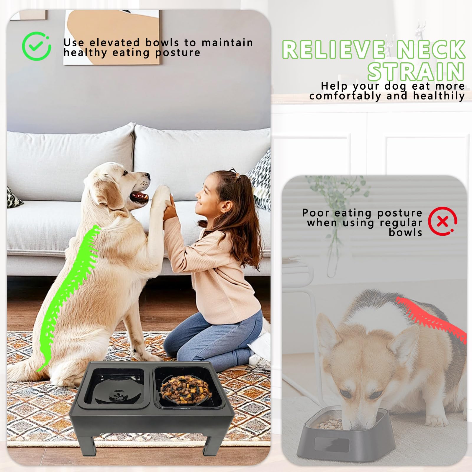 Cuenco Elevado para Perros con 4 Alturas Regulables, 1x1600ml Cuenco de Acero Inoxidable y Recipiente Anti Goteo, con 1x1600ml Recipiente Slow Feed para Perros Pequeños, Medianos y Grandes