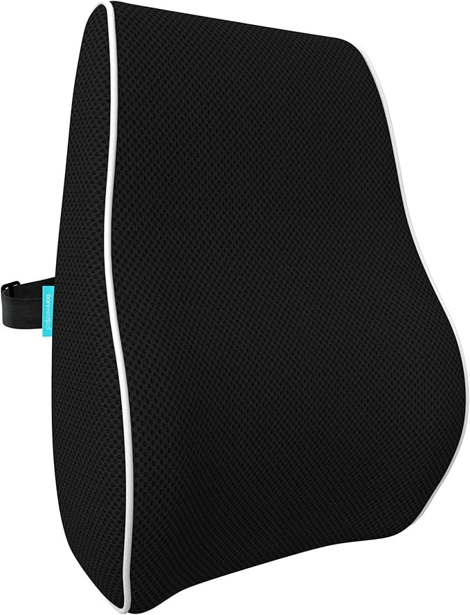 bonmedico Back Support Pillow Car Seat, Desk and Office