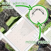 Vista 792 de Razas de Perros 2017